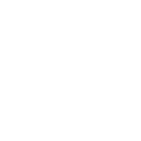 Panda on Wheels logo: a panda riding a motorcycle with a surfboard. Motos for rent