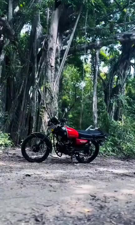 A red rental motorcycle parked in front of a big tree in the jungle